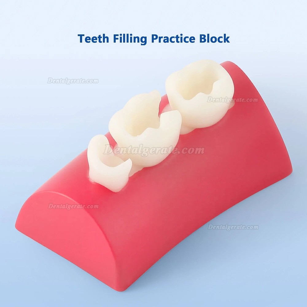 Dental Inlay &Uuml;bungsblock Komposit-Harz F&uuml;llung Z&auml;hne